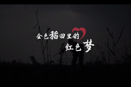 金色稻田里的紅色夢